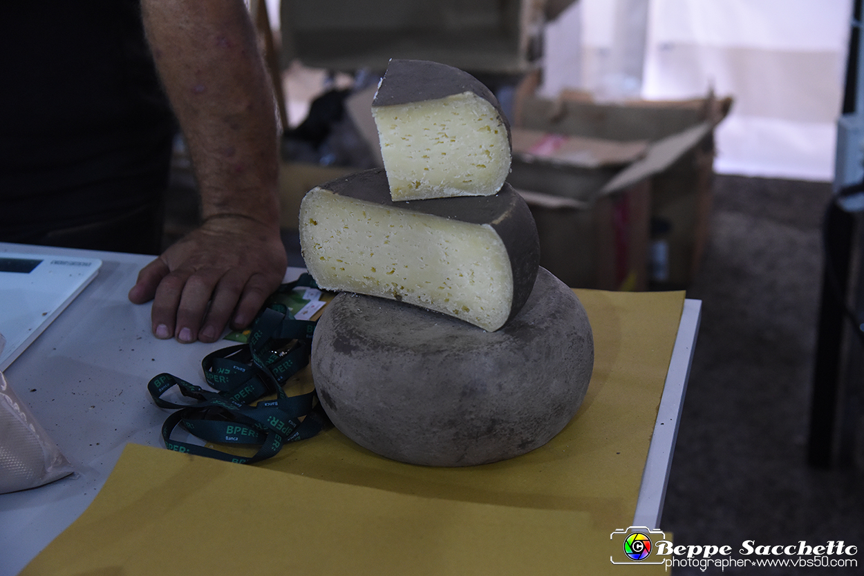 VBS_3204 - Cheese 2023 - Bra.jpg